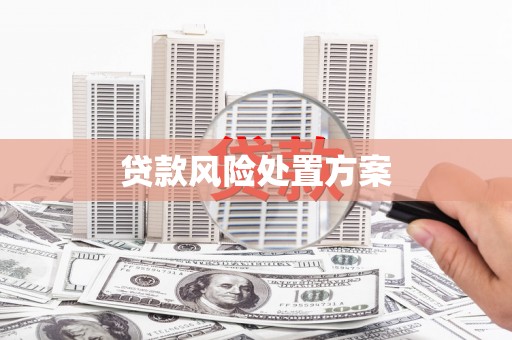 邵东贷款风险处置方案