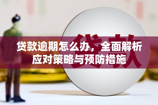 邵东贷款逾期怎么办，全面解析应对策略与预防措施