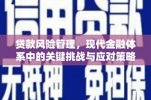 邵东贷款风险管理，现代金融体系中的关键挑战与应对策略