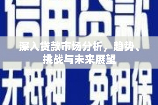 邵东深入贷款市场分析，趋势、挑战与未来展望