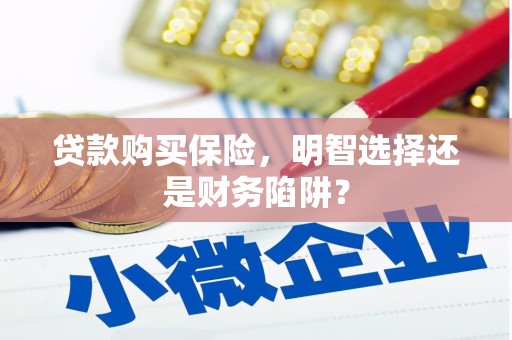邵东贷款购买保险，明智选择还是财务陷阱？