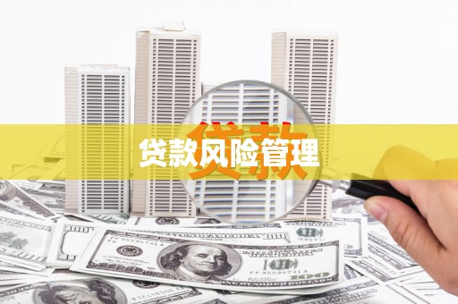 邵东贷款风险管理