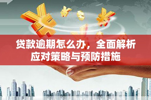 邵东贷款逾期怎么办，全面解析应对策略与预防措施