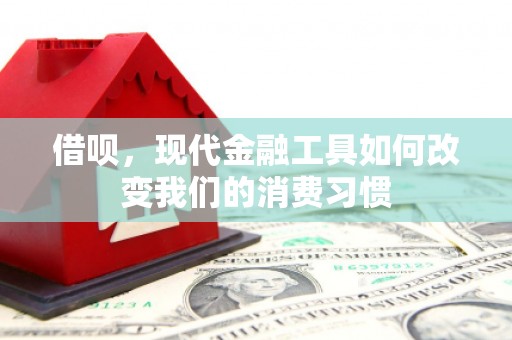 邵东借呗，现代金融工具如何改变我们的消费习惯