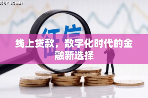 邵东线上贷款，数字化时代的金融新选择