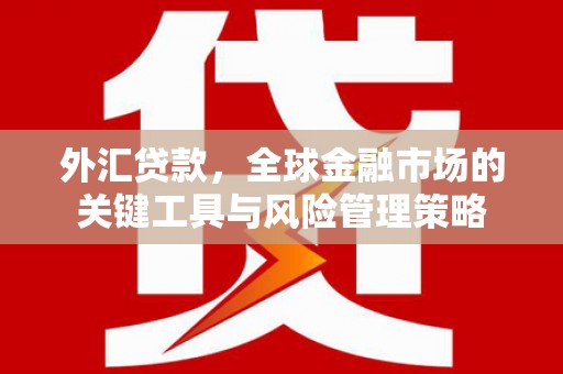 邵东外汇贷款，全球金融市场的关键工具与风险管理策略