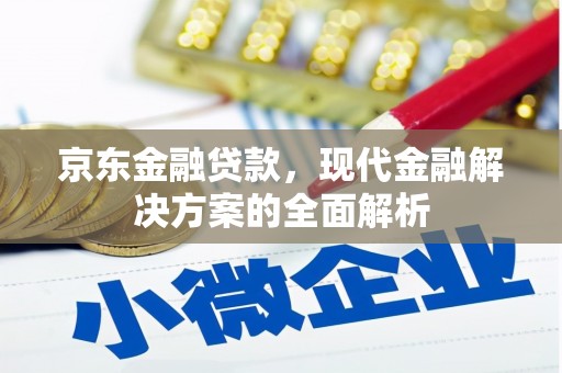 邵东京东金融贷款，现代金融解决方案的全面解析