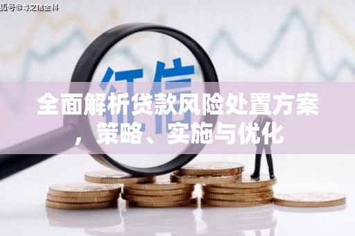 邵东全面解析贷款风险处置方案，策略、实施与优化