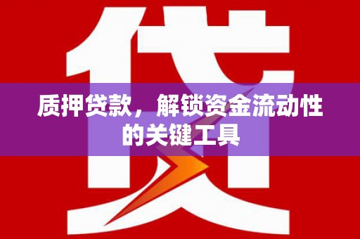邵东质押贷款，解锁资金流动性的关键工具