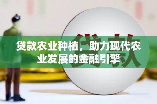 邵东贷款农业种植，助力现代农业发展的金融引擎