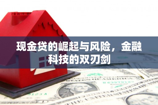 邵东现金贷的崛起与风险，金融科技的双刃剑