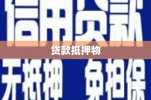 邵东贷款抵押物