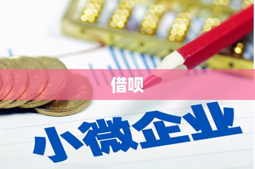 邵东借呗