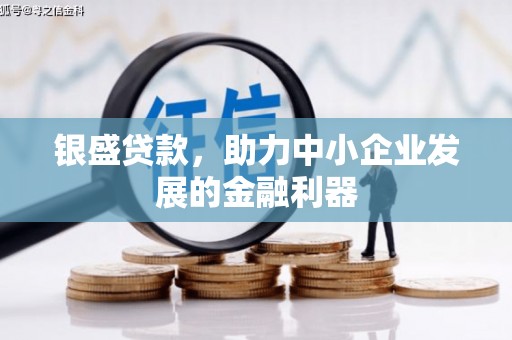 邵东银盛贷款，助力中小企业发展的金融利器
