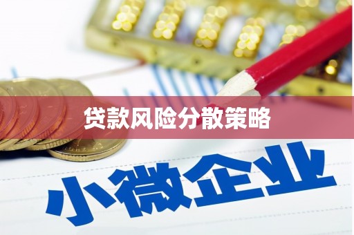 邵东贷款风险分散策略