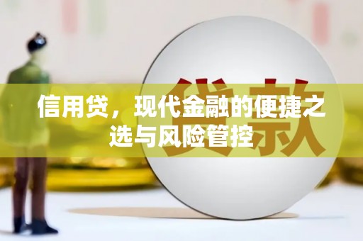 邵东信用贷，现代金融的便捷之选与风险管控