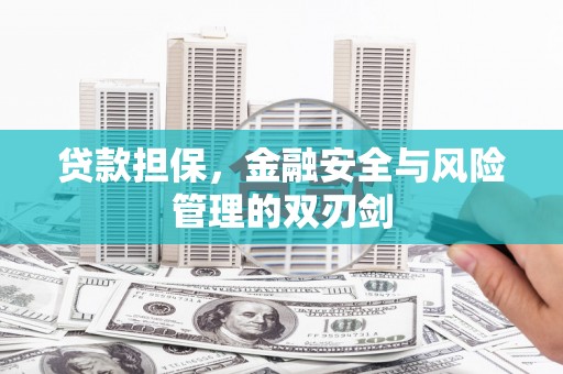 邵东贷款担保，金融安全与风险管理的双刃剑