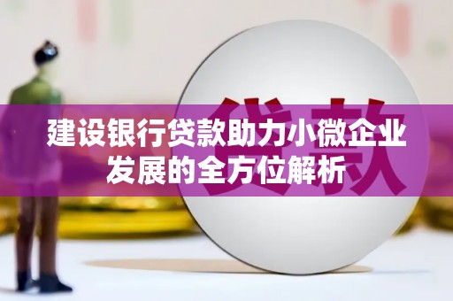 邵东建设银行贷款助力小微企业发展的全方位解析