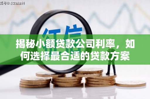 邵东揭秘小额贷款公司利率，如何选择最合适的贷款方案