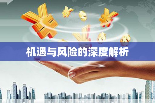 邵东机遇与风险的深度解析