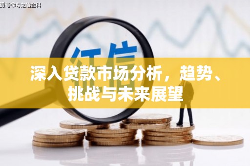 邵东深入贷款市场分析，趋势、挑战与未来展望