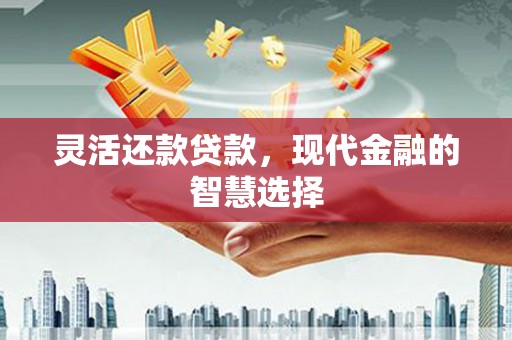 邵东灵活还款贷款，现代金融的智慧选择