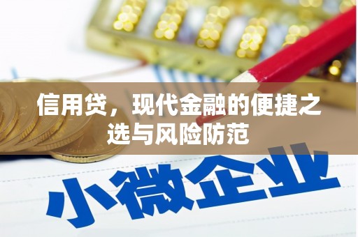 邵东信用贷，现代金融的便捷之选与风险防范