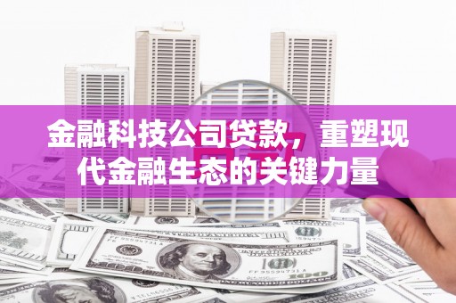 邵东金融科技公司贷款，重塑现代金融生态的关键力量
