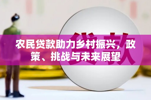 邵东农民贷款助力乡村振兴，政策、挑战与未来展望