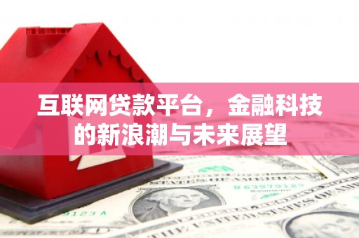 邵东互联网贷款平台，金融科技的新浪潮与未来展望