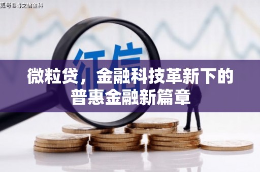 邵东微粒贷，金融科技革新下的普惠金融新篇章
