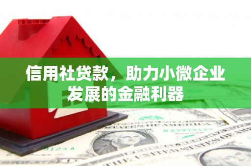 邵东信用社贷款，助力小微企业发展的金融利器