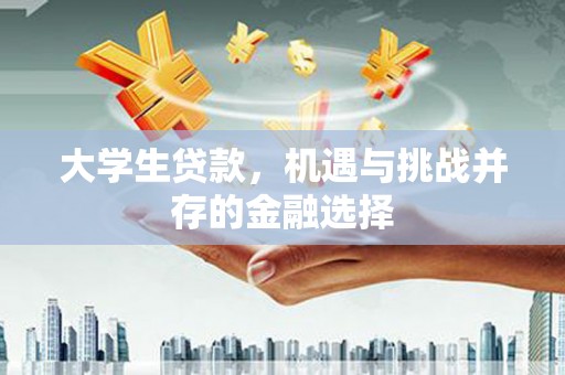 邵东大学生贷款，机遇与挑战并存的金融选择