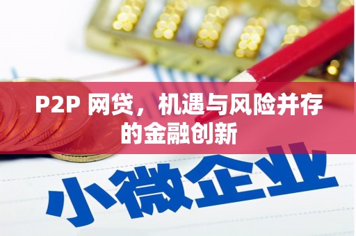 邵东P2P 网贷，机遇与风险并存的金融创新