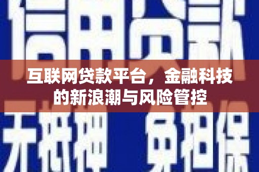 邵东互联网贷款平台，金融科技的新浪潮与风险管控