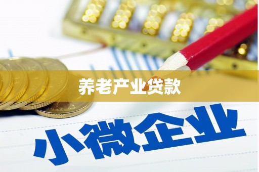邵东养老产业贷款