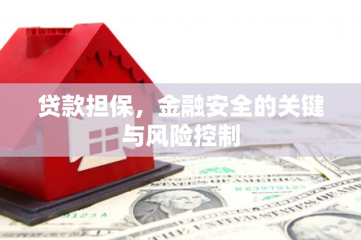 邵东贷款担保，金融安全的关键与风险控制