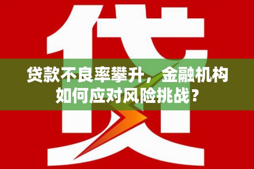 邵东贷款不良率攀升，金融机构如何应对风险挑战？