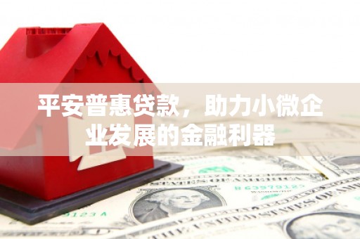 邵东平安普惠贷款，助力小微企业发展的金融利器