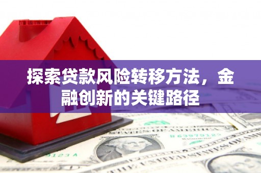 邵东探索贷款风险转移方法，金融创新的关键路径