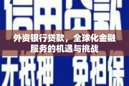 邵东外资银行贷款，全球化金融服务的机遇与挑战