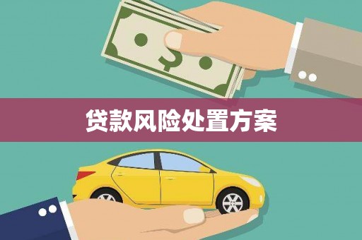 邵东贷款风险处置方案