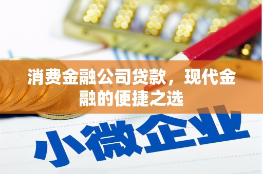 邵东消费金融公司贷款，现代金融的便捷之选