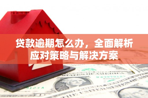 邵东贷款逾期怎么办，全面解析应对策略与解决方案