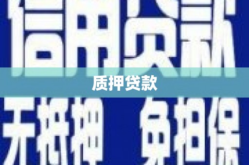 邵东质押贷款