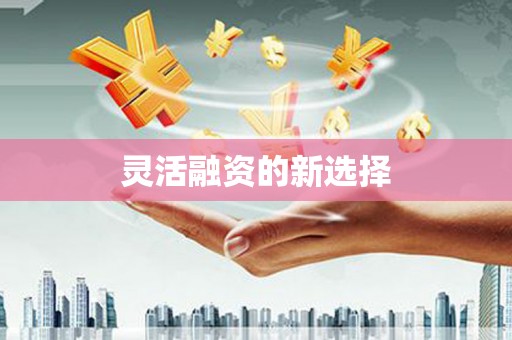 邵东灵活融资的新选择