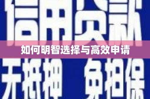 邵东如何明智选择与高效申请