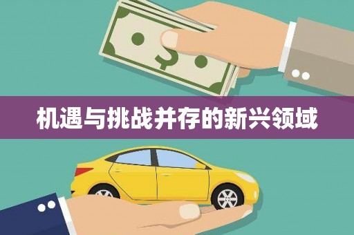 邵东机遇与挑战并存的新兴领域