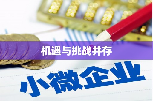 邵东机遇与挑战并存