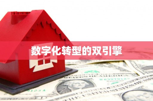 邵东数字化转型的双引擎